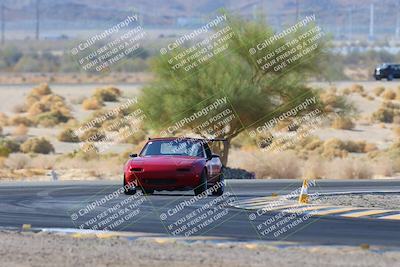 media/Mar-06-2025-Doghouse Garage (Thu) [[744e530cb1]]/3-Private Group/Session 1 Turn 5 Tree of Life/